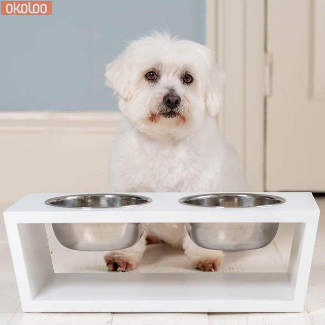 Pets Coton Noodle Puppies East of England Peterborough Okoloo