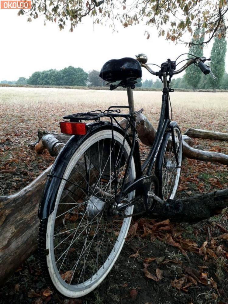 bronx vintage bike