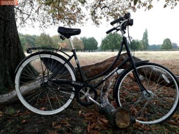 Bronx Vintage Ladies Bike Best Sale, 57 
